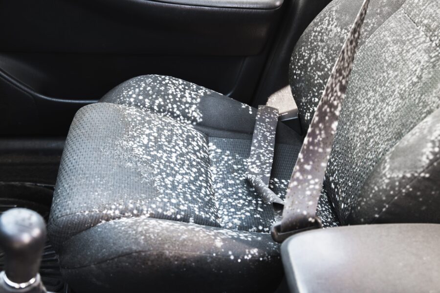 shutterstock 1700170789 min scaled